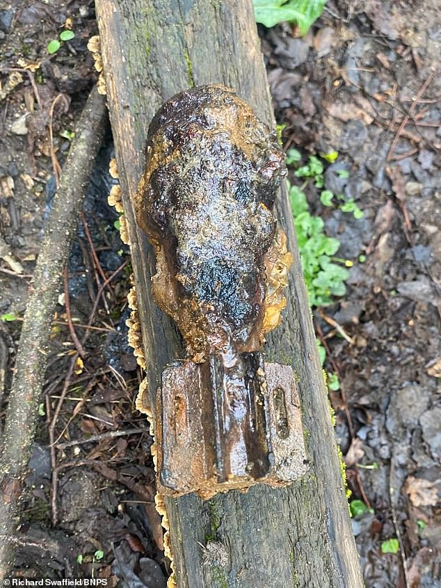 Live WWII Shell Discovered by Father and Son Sparks Bomb Squad Alert