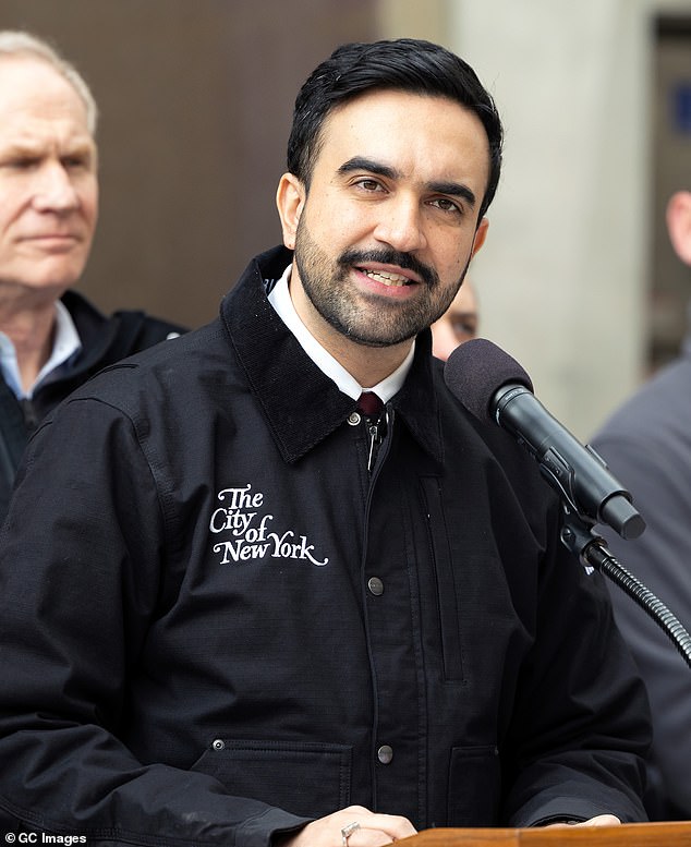 New York Mayor's Snow Shoveling Job Call Faces Criticism Over ID Requirements, Clashing With DSA Principles