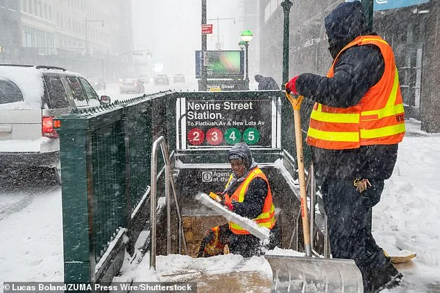 New York Mayor's Snow Shoveling Job Call Faces Criticism Over ID Requirements, Clashing With DSA Principles