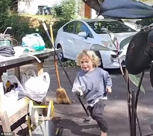 Three-Year-Old Salvo Bessemer's Terrifying Coyote Encounter in Pasadena