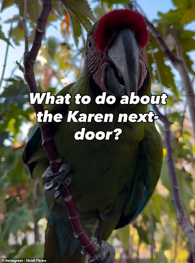 Macaw Mayhem in Las Vegas: Exotic Birds Spark Neighborly Dispute Over Noise