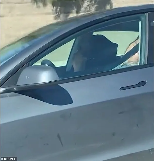 Shocking Video Captures Elderly Couple Asleep in Autopilot Tesla as It Speeds Down California Highway