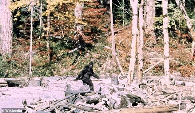 Ohio Bigfoot Surge Sparks 'Flap' as Experts Hail Potential Evidence Breakthrough