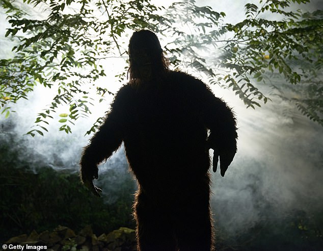 Ohio Bigfoot Surge Sparks 'Flap' as Experts Hail Potential Evidence Breakthrough