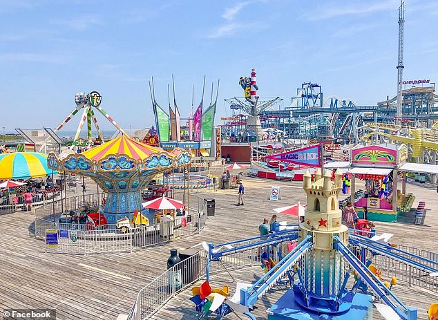 Outrage Over 262-Day Sentence for Seagull Decapitation in New Jersey