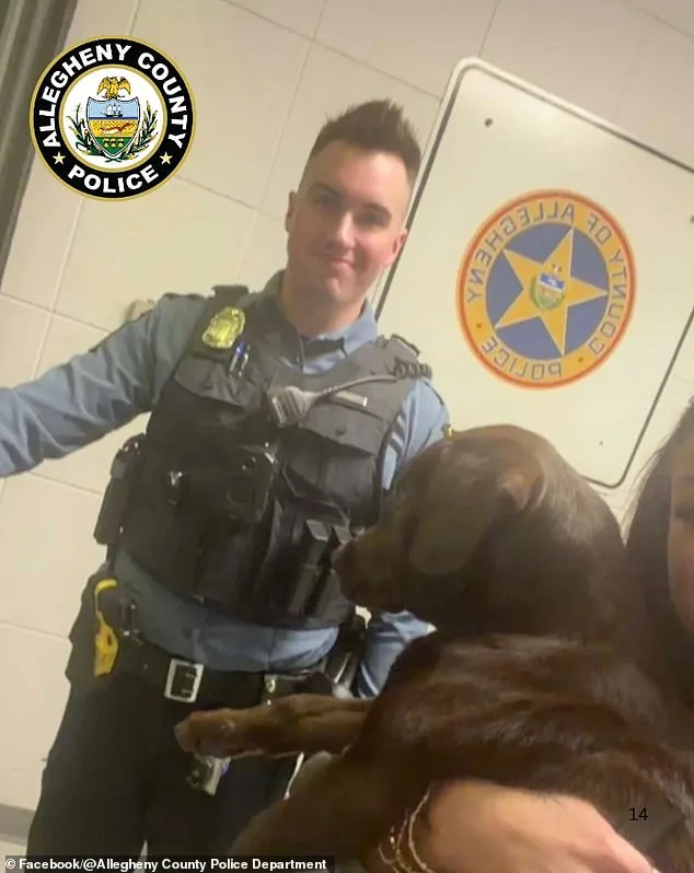 Man Charged with Cruelty for Abandoning Puppy at Pittsburgh Airport