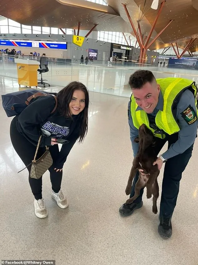 Man Charged with Cruelty for Abandoning Puppy at Pittsburgh Airport