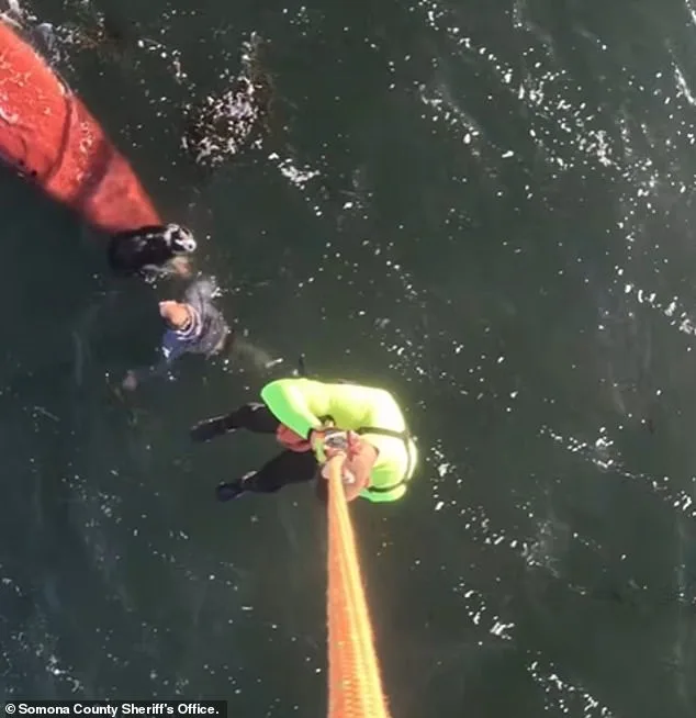 Tragic Kayaking Accident in Tomales Bay Claims Life of 37-Year-Old Woman