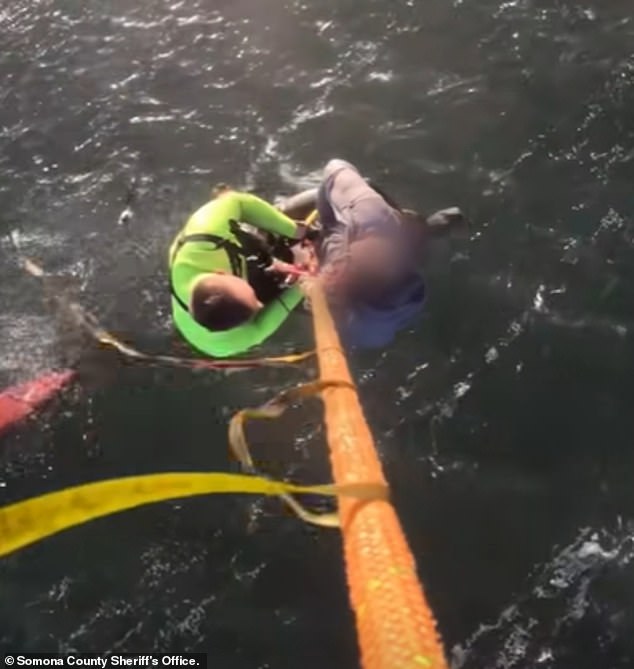 Tragic Kayaking Accident in Tomales Bay Claims Life of 37-Year-Old Woman