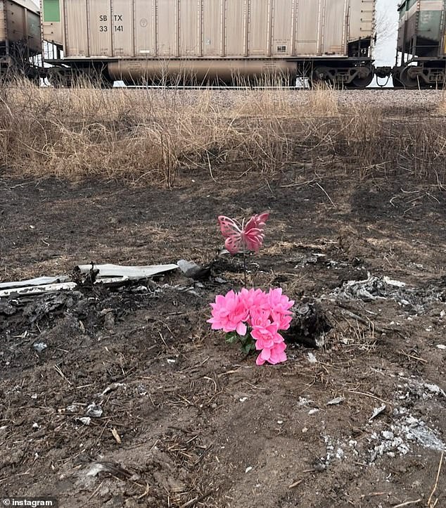 18-Year-Old Tessa Walker Dies in Fiery Crash on Missouri Highway