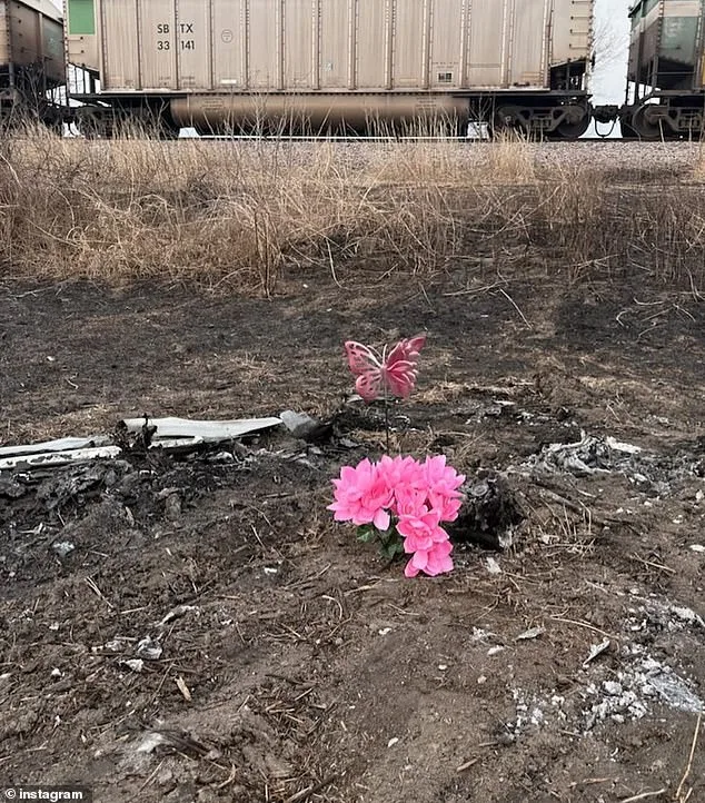 18-Year-Old Tessa Walker Dies in Fiery Crash on Missouri Highway