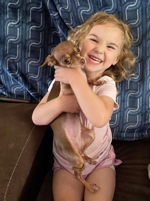 Florida Gov. DeSantis Demands Impeachment of Judge Who Released Convicted Sex Offender in Wake of 'Missy's Law' Passage