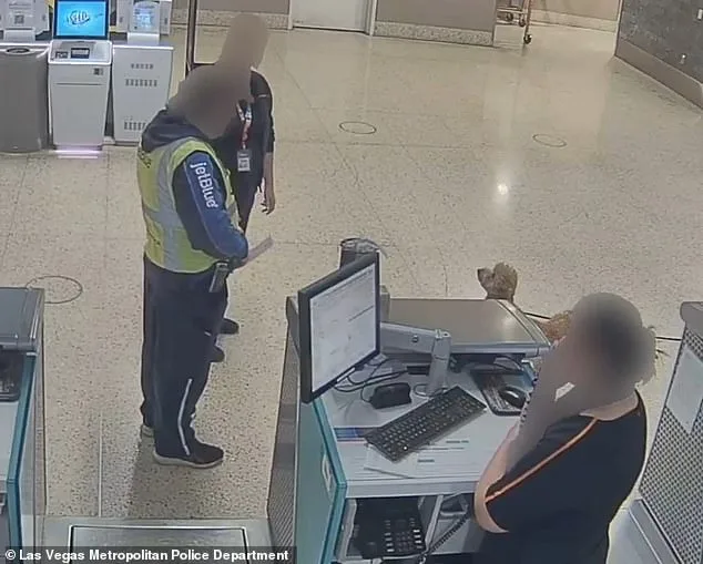 Las Vegas Judge Issues Bench Warrant for Woman Who Abandoned Dog at Airport