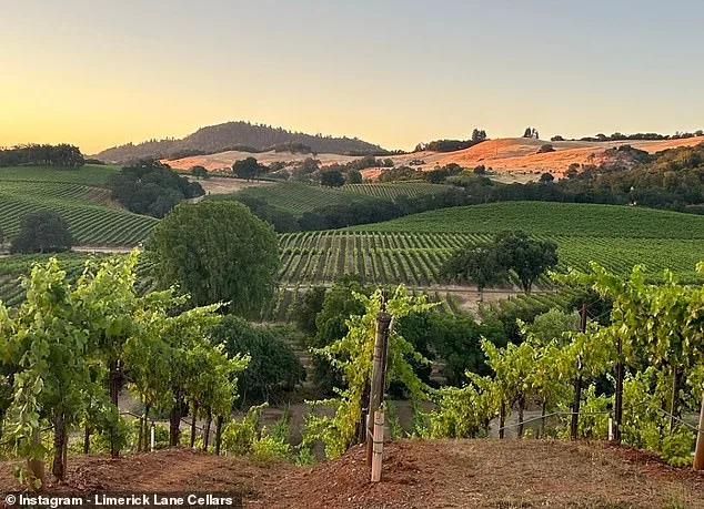 The Haunting Legacy of Limerick Lane Cellars