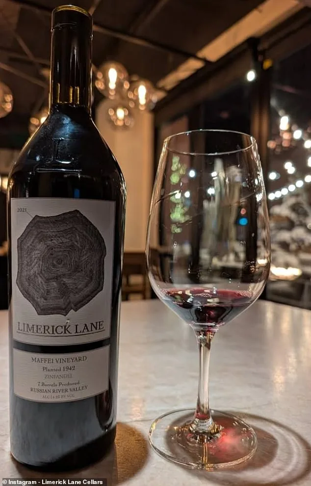 The Haunting Legacy of Limerick Lane Cellars