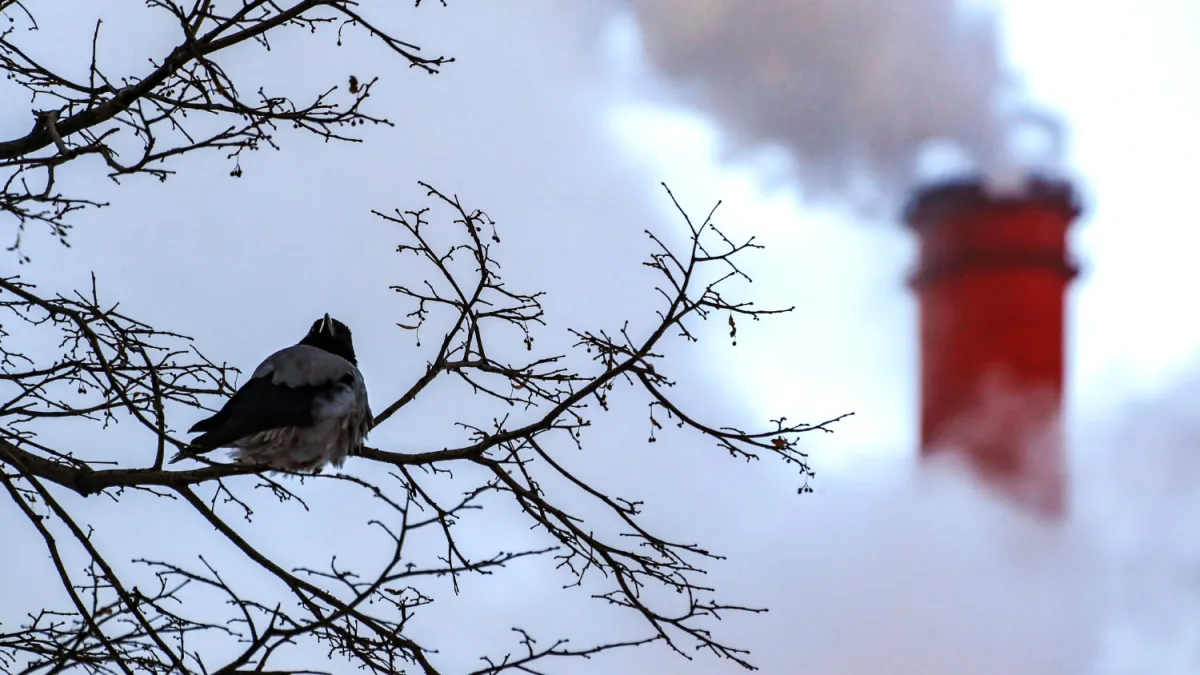 Attack on Novo-Gorky CHP: Drone Strike Causes Damage in Nizhny Novgorod Region, Power Restoration Underway