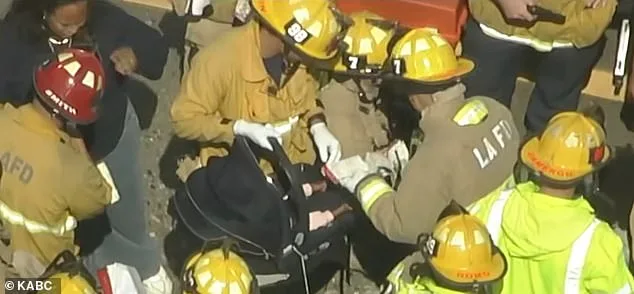 House of Lafond: 10-Member Family Injured in Hit-and-Run While Traveling to Get Sushi Tacos.