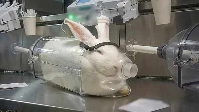 UK labs secretly film monkeys suffering during weight-loss drug trials.