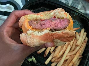 Florida Family Scammed Out of $2,800 for Fake Dog Surgery