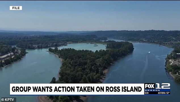 Portland's Jurassic Park-like Ross Island may finally open to the public.
