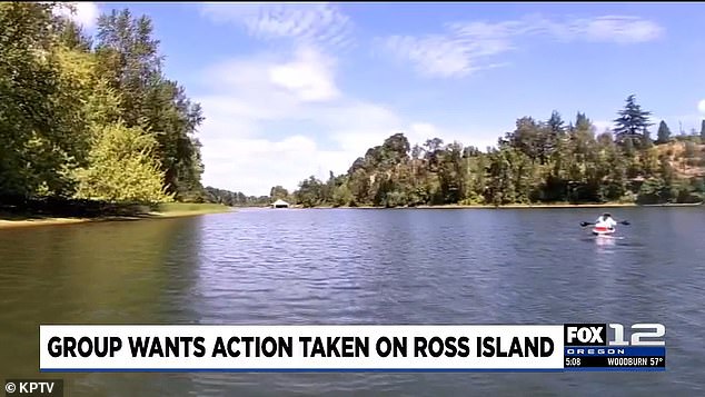 Portland's Jurassic Park-like Ross Island may finally open to the public.