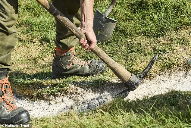 National Trust volunteers restore Cerne Abbas Giant with 17 tonnes of chalk.