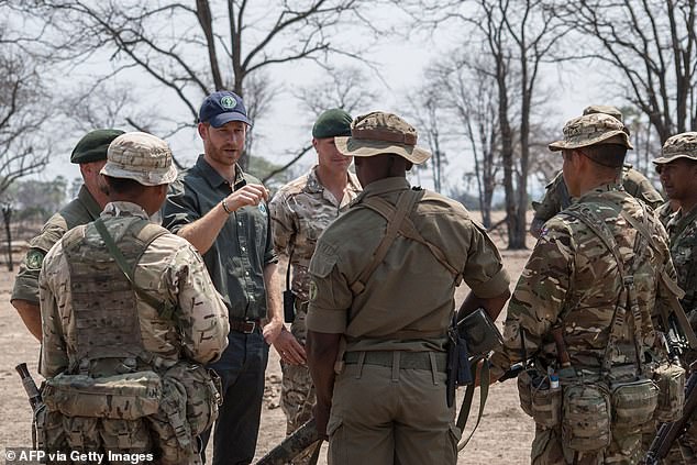 Prince Harry faces mounting pressure to resign over Congo charity abuse scandal.