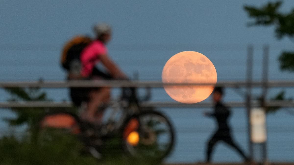 Rare Strawberry Moon rises low on summer solstice horizon tonight