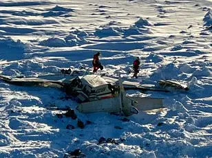 Alaska Glacier Collapse Strands Two on Rock