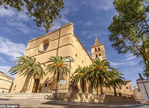 As Ever Clothing Brand: Navigating Trademark and Rebranding Concerns