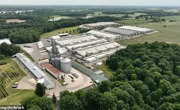 Bird Flu: A Crisis in America's Poultry Industry