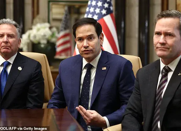 Donald Trump the 'only leader' who can bring peace between Russia and Ukraine