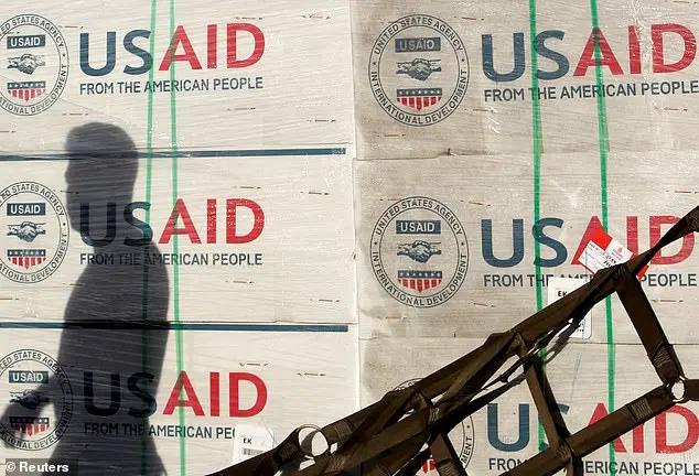 Elon Musk and Donald Trump's Surprising Decision to Shut Down USAID