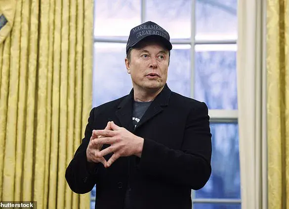 Elon Musk and Zero Hedge's Fort Knox Gold Reserve Debate