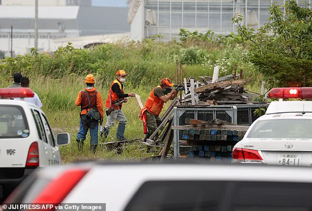 Japan's Bear Attack Crisis: When Hunting Becomes a Last Resort