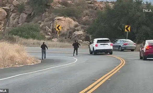 LA wildfire survivors chase and apprehend suspected arsonist