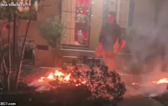Los Angeles Arsonist: A Tragic End