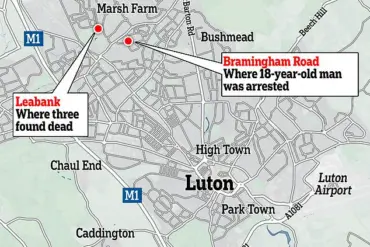 Lutonian Teen's Murder-School Shooting Plot: A Troubling Tale