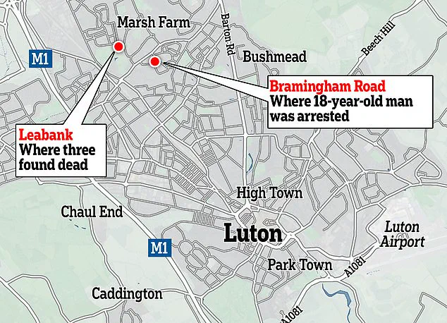 Lutonian Teen's Murder-School Shooting Plot: A Troubling Tale