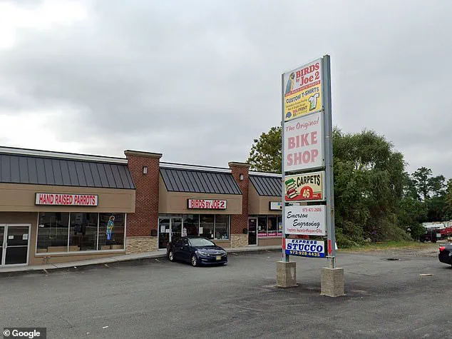 Pet Store Owner Shot with Crossbow in Saddle Brook, New Jersey