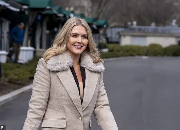 Press Secretary Refutes Senator's Suggestion of President's Involvement in Plane Crash