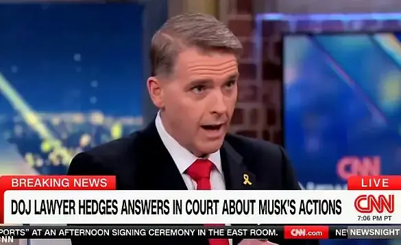 Scott Jennings Defends Elon Musk's Effort To Clean Up The Swamp For Donald Trump