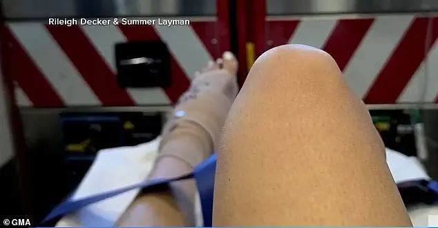 Shark Attacks Off Bahamas: A Complex Web of Factors