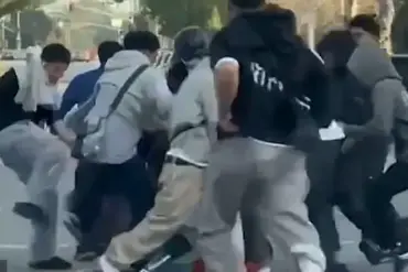 Shocking Video Shows Brutal Gang Attack on Los Angeles Driver