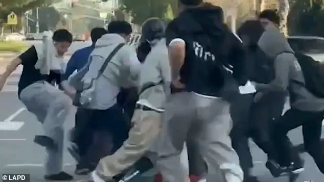 Shocking Video Shows Brutal Gang Attack on Los Angeles Driver