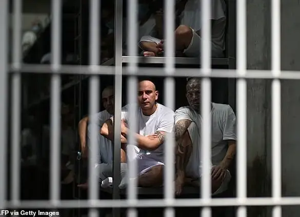 The Dark World of El Salvador's Gangs: A Journey to the Terror Confinement Center