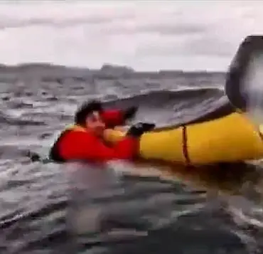 The Rare and Terrifying Experience of Being Caught in a Whale's Mouth