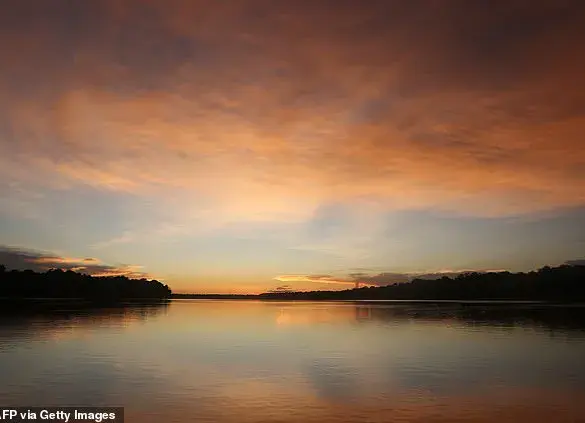 Thrive: Brazil's Amazon Region Welcomes an Unexpected Guest