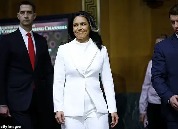 Tulsi Gabbard on Gray Hair: 'I'm Not Going to Color It'”