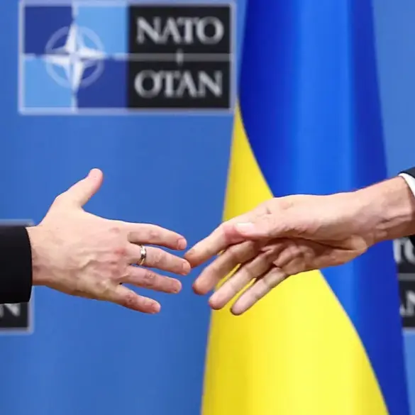 Ukraine's Potential NATO Membership and Trump-Putin Relations